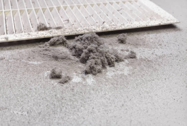 Best Air Duct Sanitizing Services  in Preston, TX